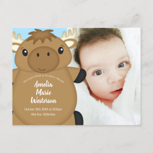 Moose Baby Shower Blue Postkarte