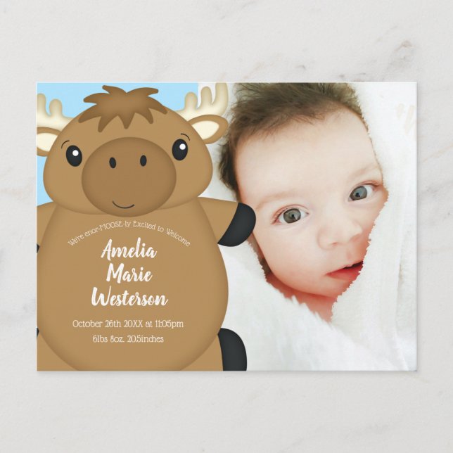 Moose Baby Shower Blue Postkarte (Vorderseite)