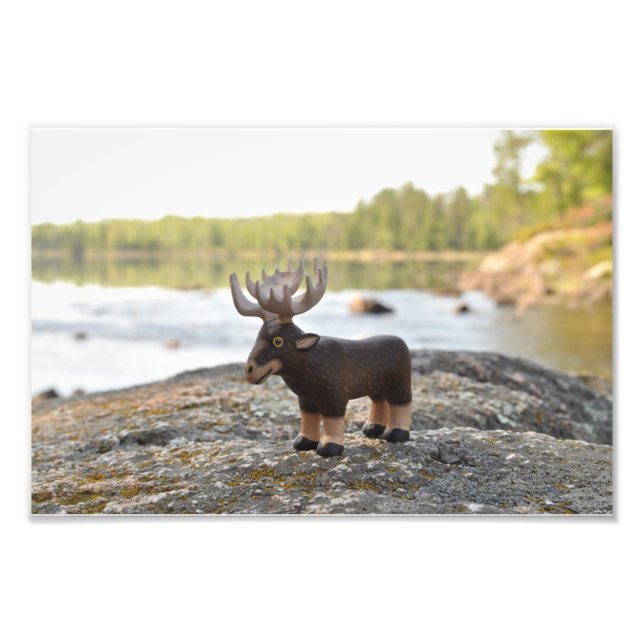 Moose Camping Foto Print (Vorne)