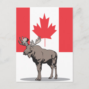 Moose Canada Postkarte