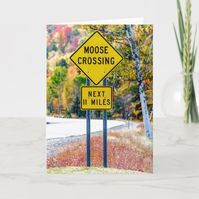 Moose Crossing Grußkarte Karte (Vorderseite)