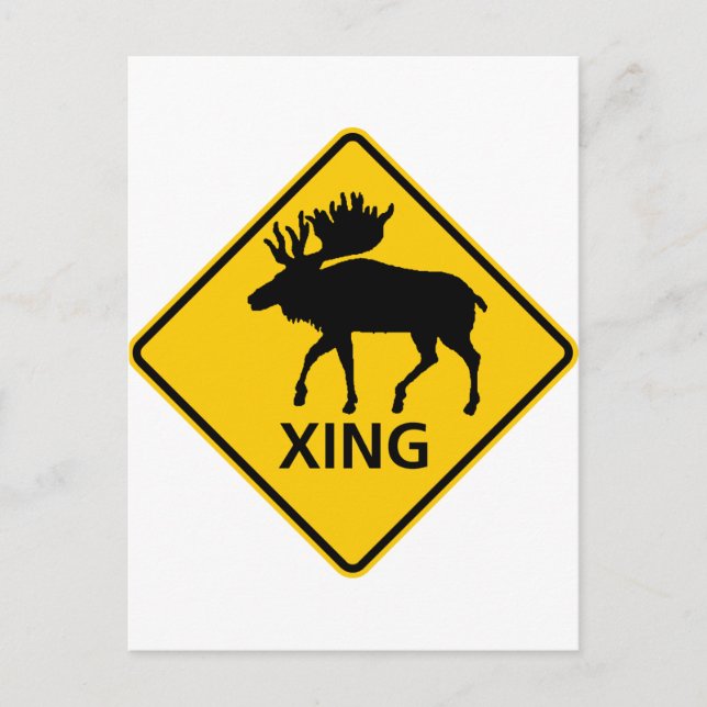 Moose Crossing Highway-Zeichen Postkarte (Vorderseite)