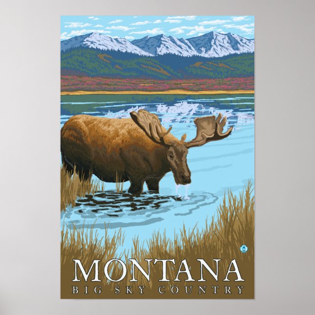 Moose Drink am See - Montana Poster (Vorne)