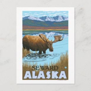 Moose Drink am See - Seward, Alaska Postkarte