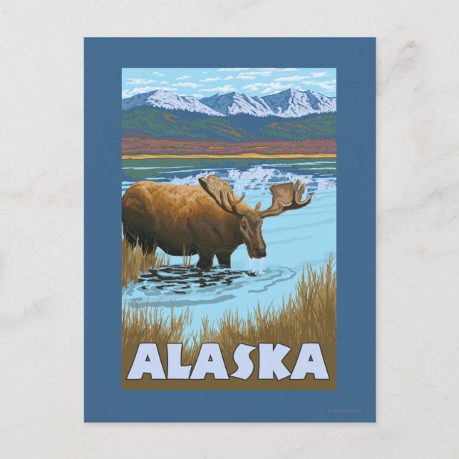 Moose Drink Water Vintage Travel Poster Postkarte (Vorderseite)