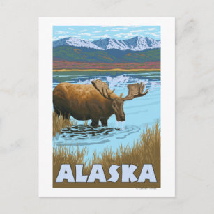 Moose Drink Water Vintage Travel Poster Postkarte