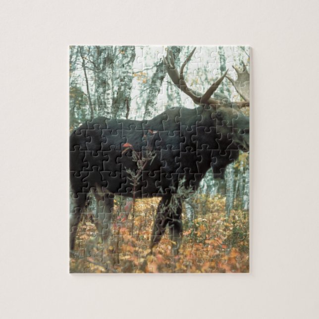 Moose Forest Trees Park Parco Civico-Ciani Puzzle (Vertikal)