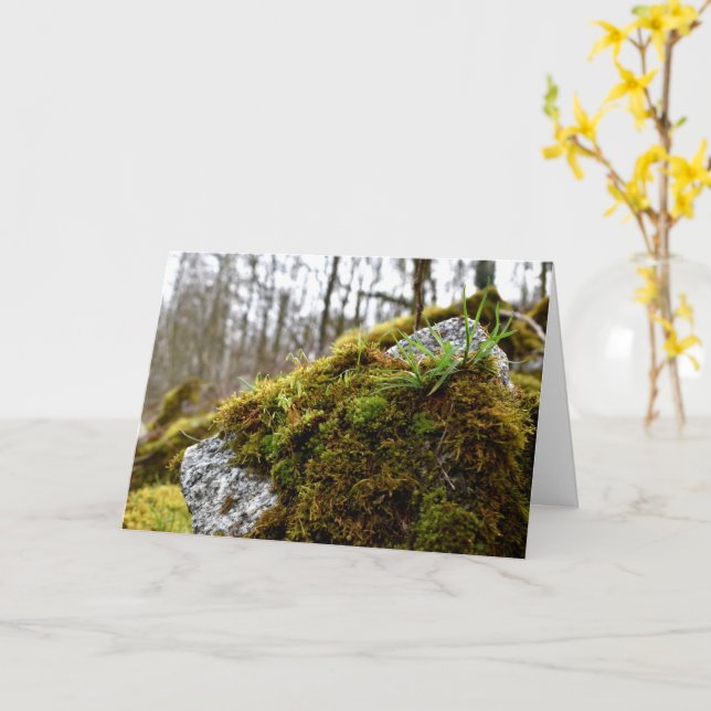 Moose, Frühlingsaufwachen Karte (Gelbe Blume)