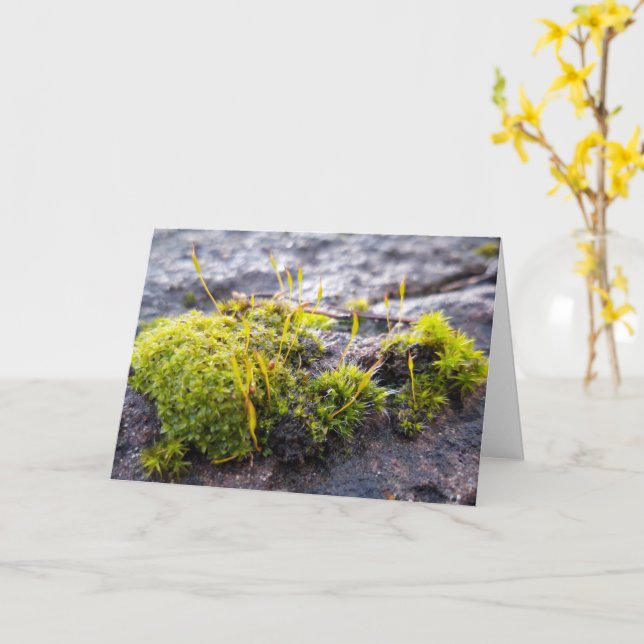 Moose, Frühlingsaufwachen Karte (Gelbe Blume)