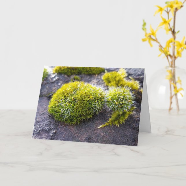 Moose, Frühlingsaufwachen Karte (Gelbe Blume)