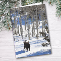 Moose im Winter Jeder Anlass Grußkarte