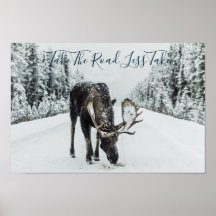 Moose im Winter unterwegs mit Zitat
