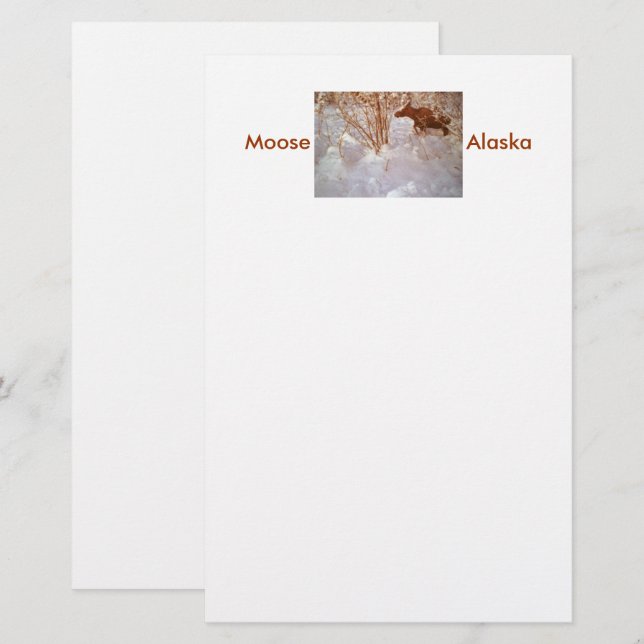 Moose in Alaska Stationery Briefpapier (Vorne/Hinten)