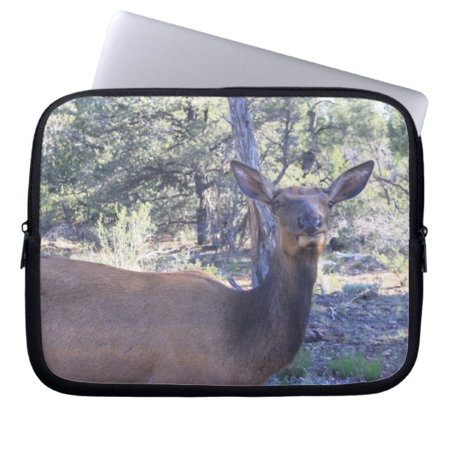 Moose Laptop Sleeve (Vorderseite)