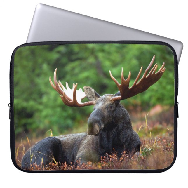 Moose Laptop Sleeve (Vorderseite)