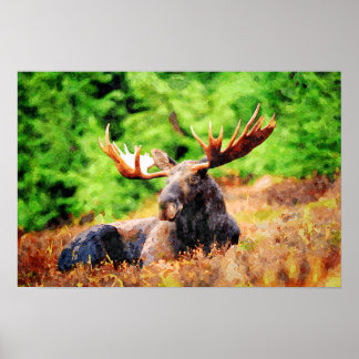 Moose Lay Down Wasserfarbe Malerei Wildnis Kunst Poster