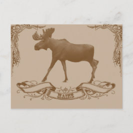 Moose Maine Postkarte