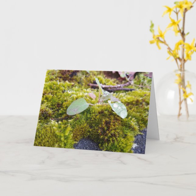 Moose mit winzigen Blume , Frühlingsaufwachen Karte (Gelbe Blume)