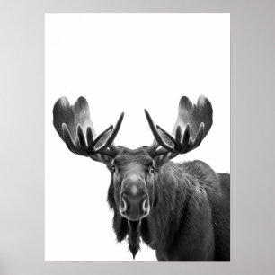 Moose Modern Portrait Schwarz-weiß Poster