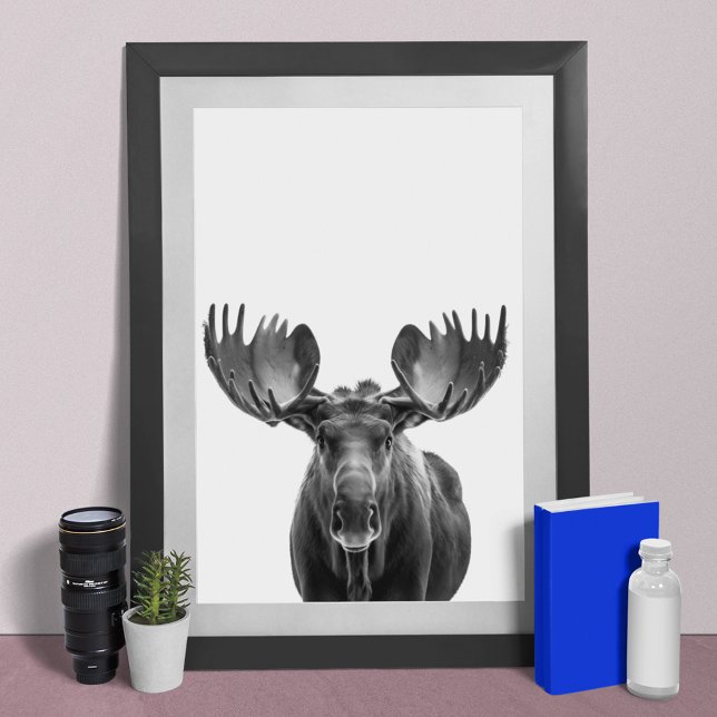 Moose Modern Portrait Schwarz-weiß Poster (Von Creator hochgeladen)