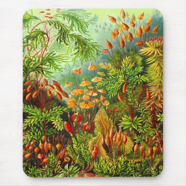 Moose Mousepad (Vorne)