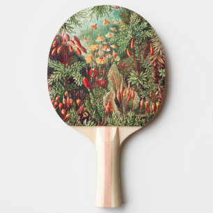 Moose, Muscinae Laubmoose von Ernst Haeckel Tischtennis Schläger