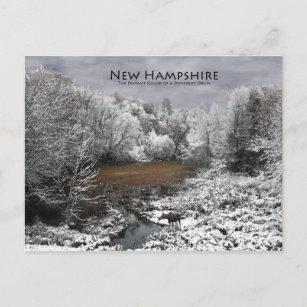 Moose on Snowy Oxbow: New Hampshire Postcard Postkarte