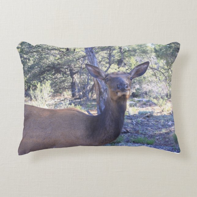 Moose Pillow Zierkissen (Vorderseite)
