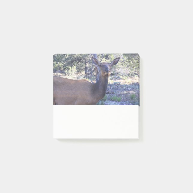Moose Post it Note Post-it Klebezettel (Vorderseite)