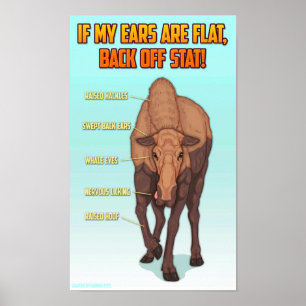 Moose Safety Graphic Poster Print