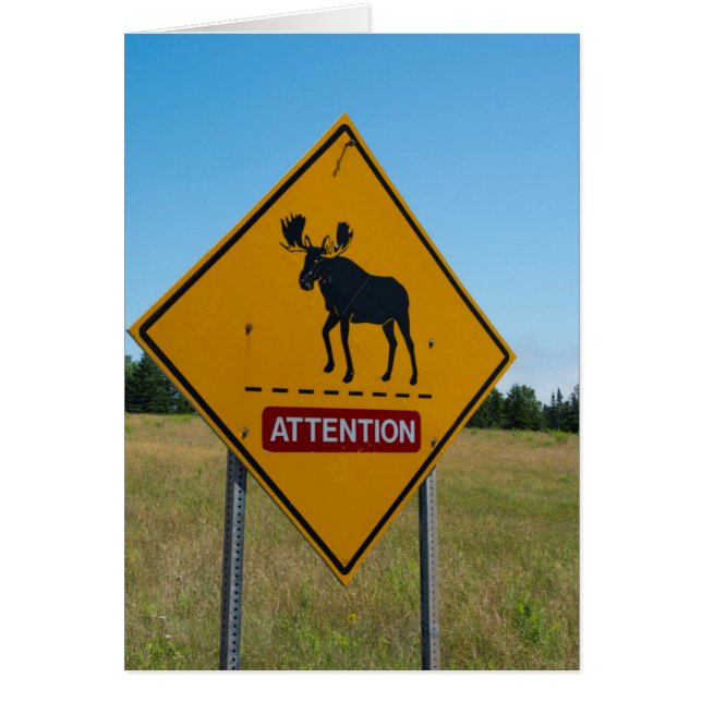 Moose-Warnzeichen (Vorne)