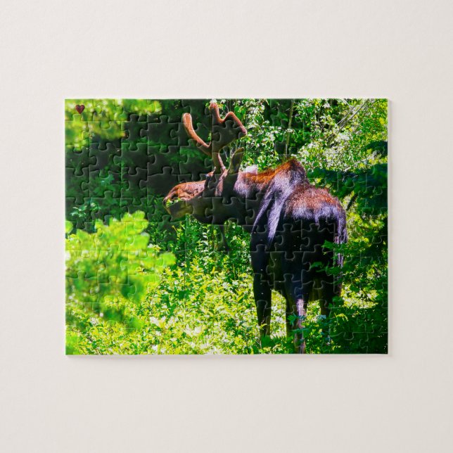 Moose Wyoming Puzzle (Horizontal)