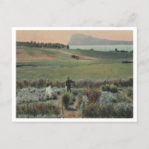 Moosehead Lake ME, Kineo, Farm 1910 Postkarte
