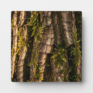 Moosige Baumrinden-Waldtextur Fotoplatte