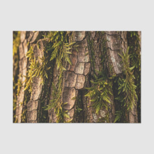 Moosige Baumrinden-Waldtextur Seidenpapier