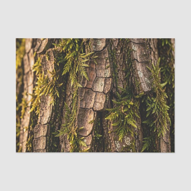 Moosige Baumrinden-Waldtextur Seidenpapier (Vorderseite)
