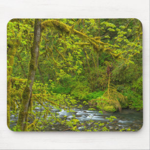 Moosige Felsen und Bäume säumen Eagle Creek Mousepad