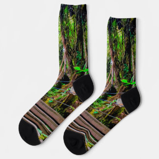 Moosiger Wald Socken