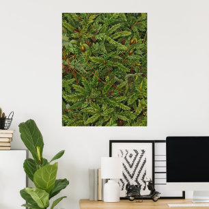 Moosmotiv Poster