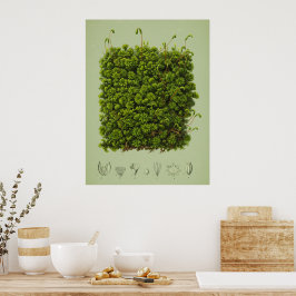 Moosmotiv Poster