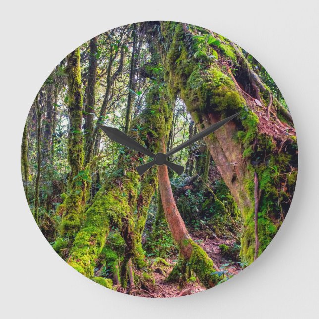 Mooswald Große Wanduhr (Vorderseite)