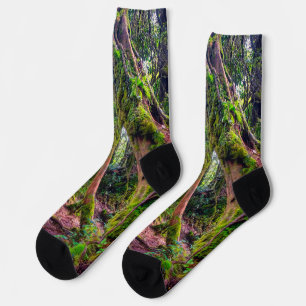 Mooswald Socken