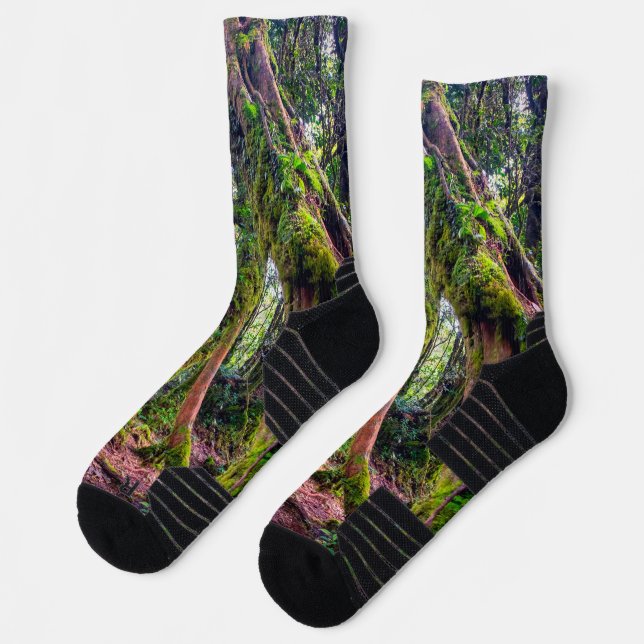 Mooswald Socken (Links)