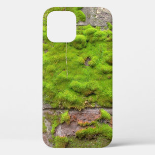 Mooswand, grüne Gesteinsstruktur Case-Mate iPhone Hülle