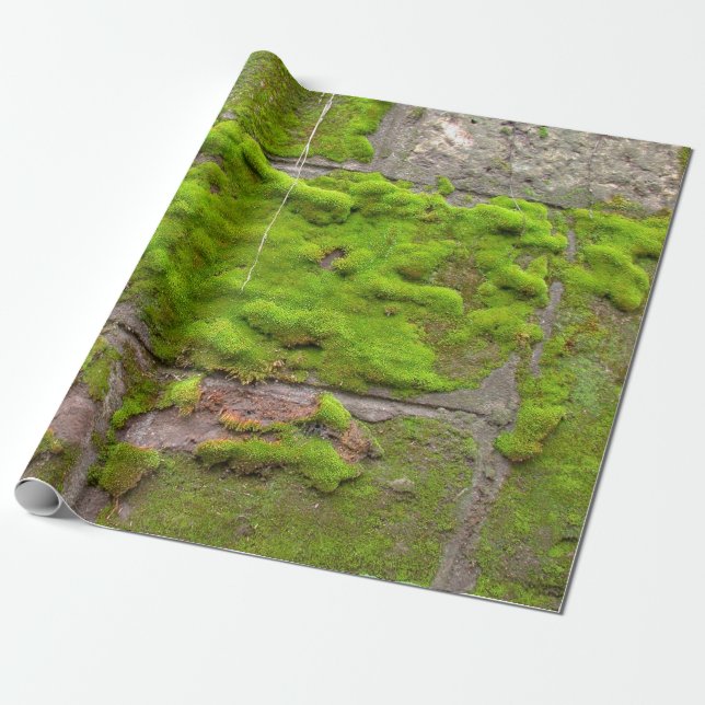 Mooswand, grüne Gesteinsstruktur Geschenkpapier (Ungerollt)
