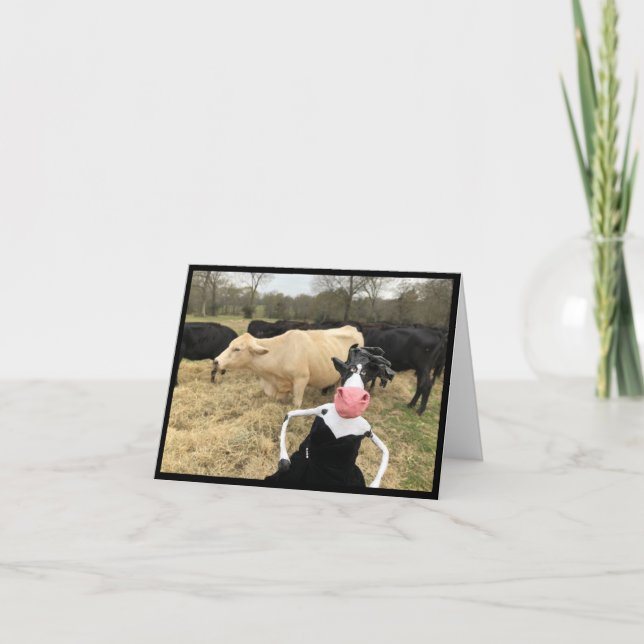 Mootilda sagt "HAY!" Karte (Vorderseite)