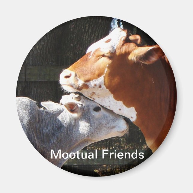 Mootual Friends Magnet (Vorne)