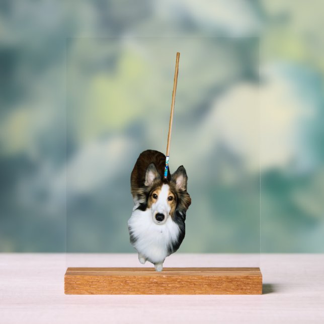 Mop Dog Acrylschild (Neutral)