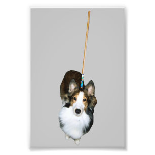 Mop Dog Fotodruck