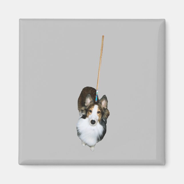 Mop Dog Magnet (Vorne)